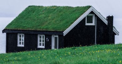 Dom zakupiony za gotówkę z gdańskiego skupu domów. Na dachu ma trawę, dookoła również jest trawa. Prosty, jedno-piętrowy domek z poddaszem