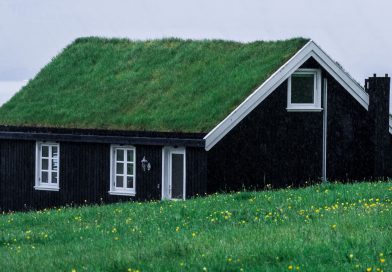 Dom zakupiony za gotówkę z gdańskiego skupu domów. Na dachu ma trawę, dookoła również jest trawa. Prosty, jedno-piętrowy domek z poddaszem