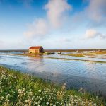 Dlaczego stare przyłącza generują największe straty? Analiza na podstawie typowych awarii